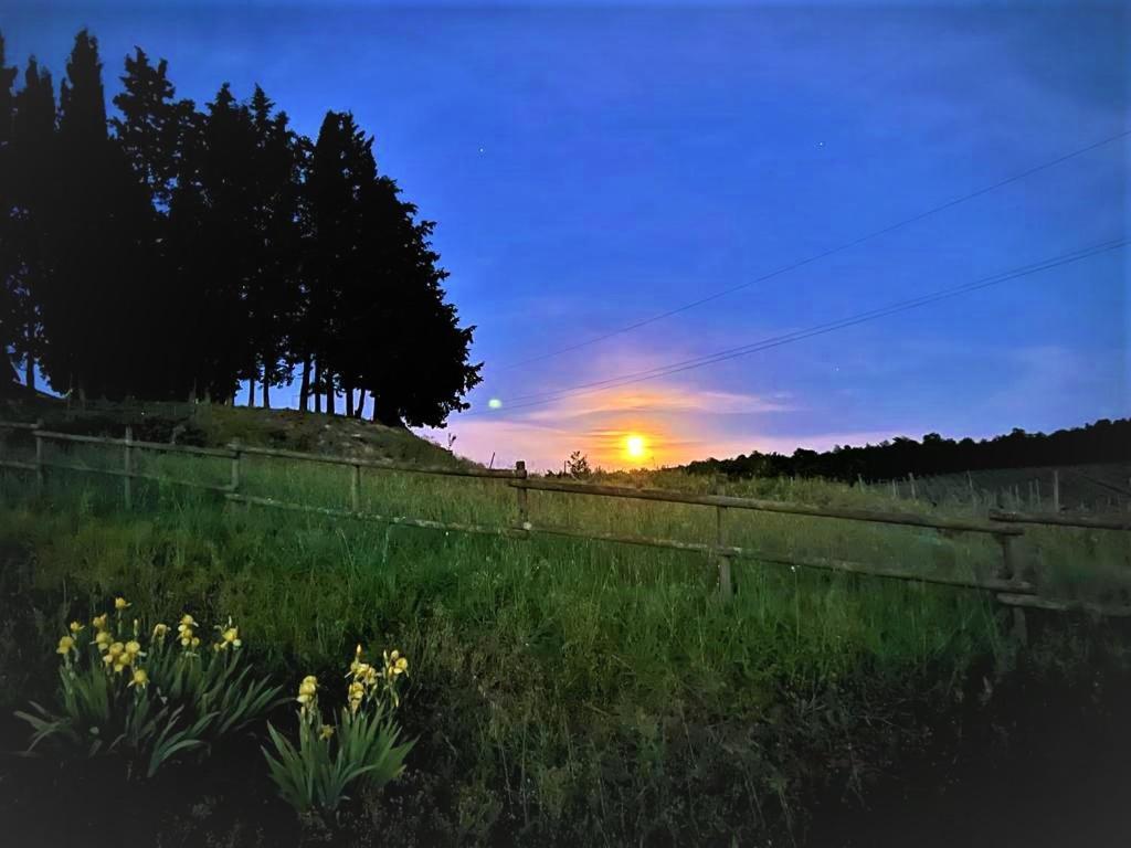 Podere La Selva Rapolano Terme Luaran gambar