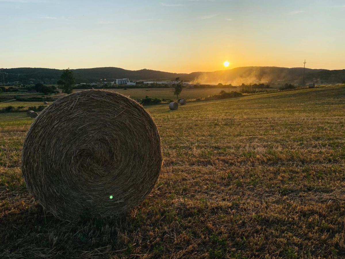Podere La Selva Rapolano Terme Luaran gambar