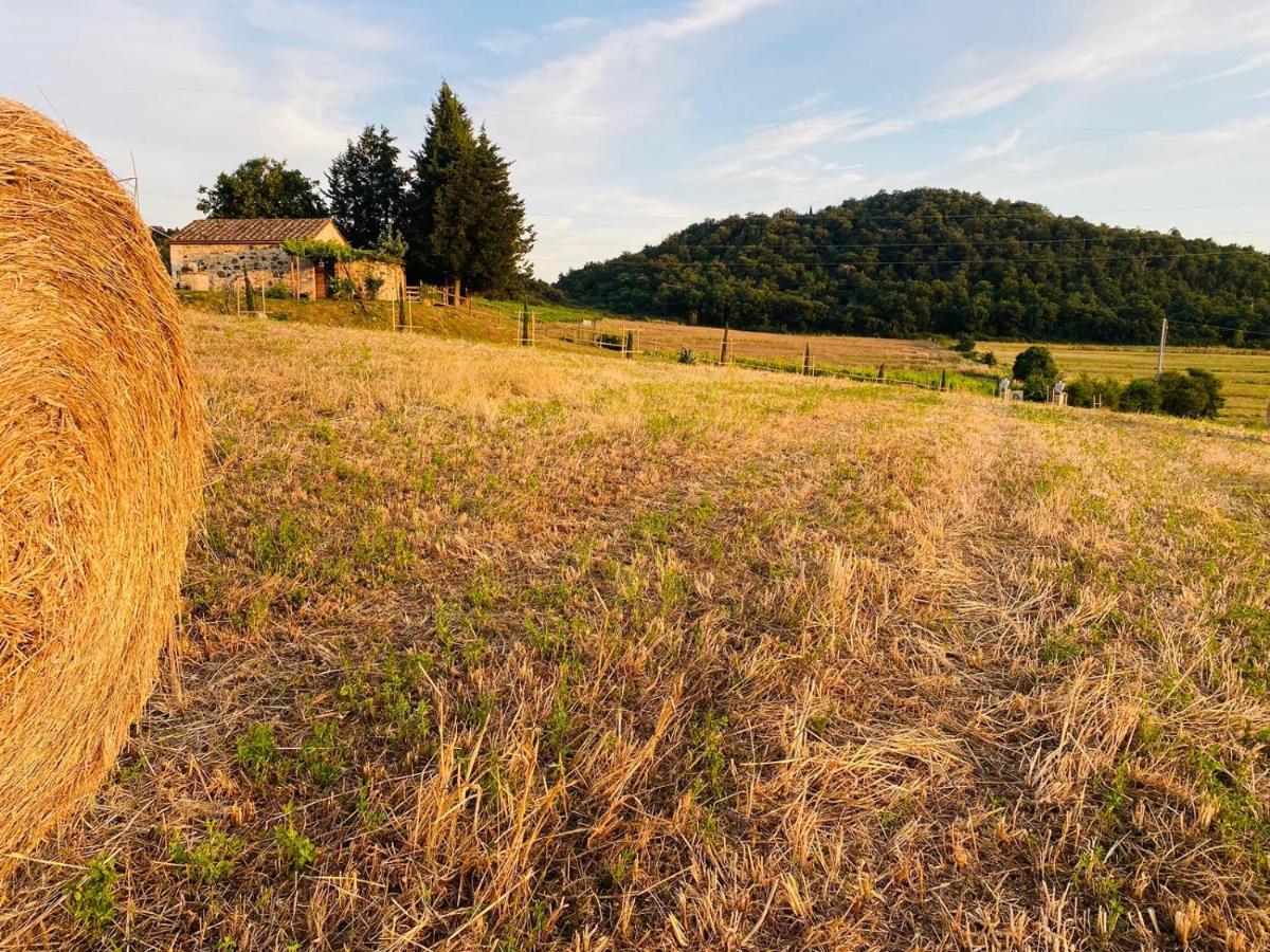 Podere La Selva Rapolano Terme Luaran gambar