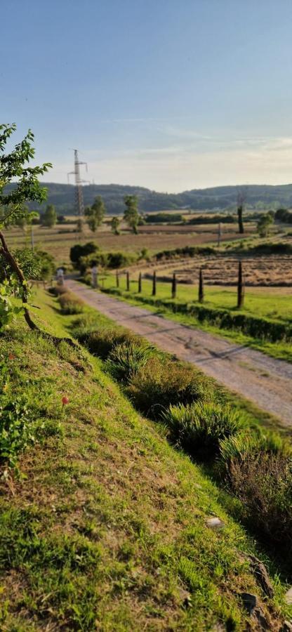 Podere La Selva Rapolano Terme Luaran gambar