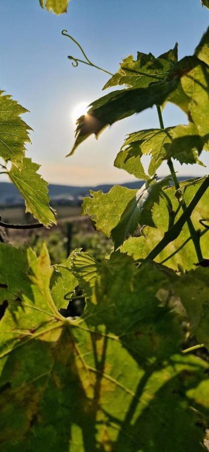 Podere La Selva Rapolano Terme Luaran gambar