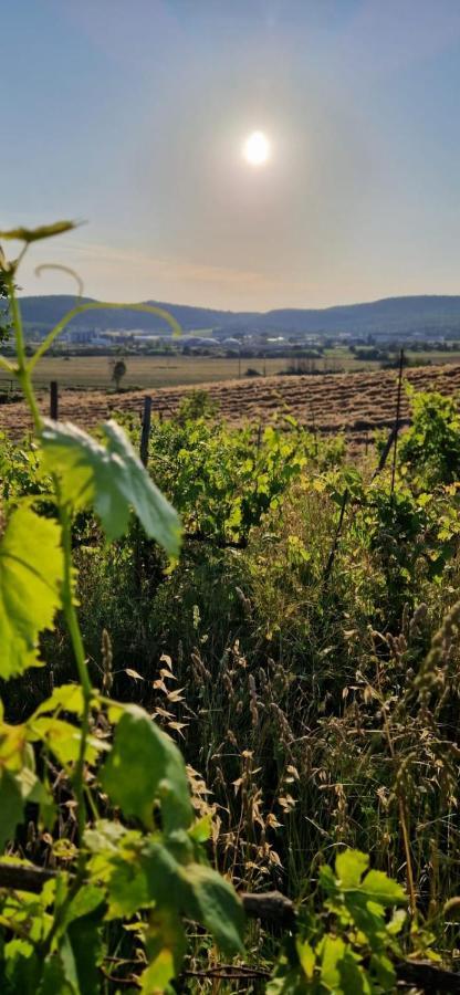 Podere La Selva Rapolano Terme Luaran gambar